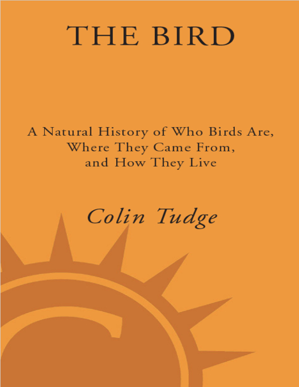 The Bird: A Natural History of Who Birds Are, Where They Came From, and How They Live